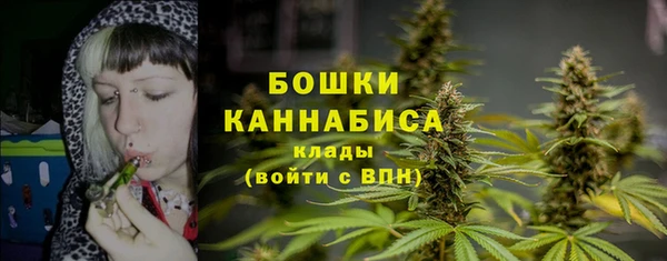 мяу мяу мука Коряжма
